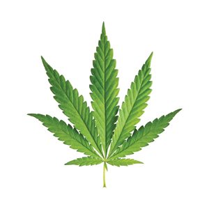 On June 12, 2013, Governor Brian Sandoval signed legislation authorizing the sale of medical marijuana in Nevada.