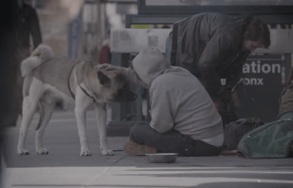 Pets of the Homeless has recently been featured in Elite Daily’s documentary video series.
