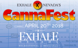 CannaFest is the culmination of a 20-day raffle that begins April 1 and leads up to the April 20, 2018 CannaFest Event. The Winners of the CannaFest raffle will attend a private screening of the movie premier of Super Troopers 2 at the Palms Brenden Theater.