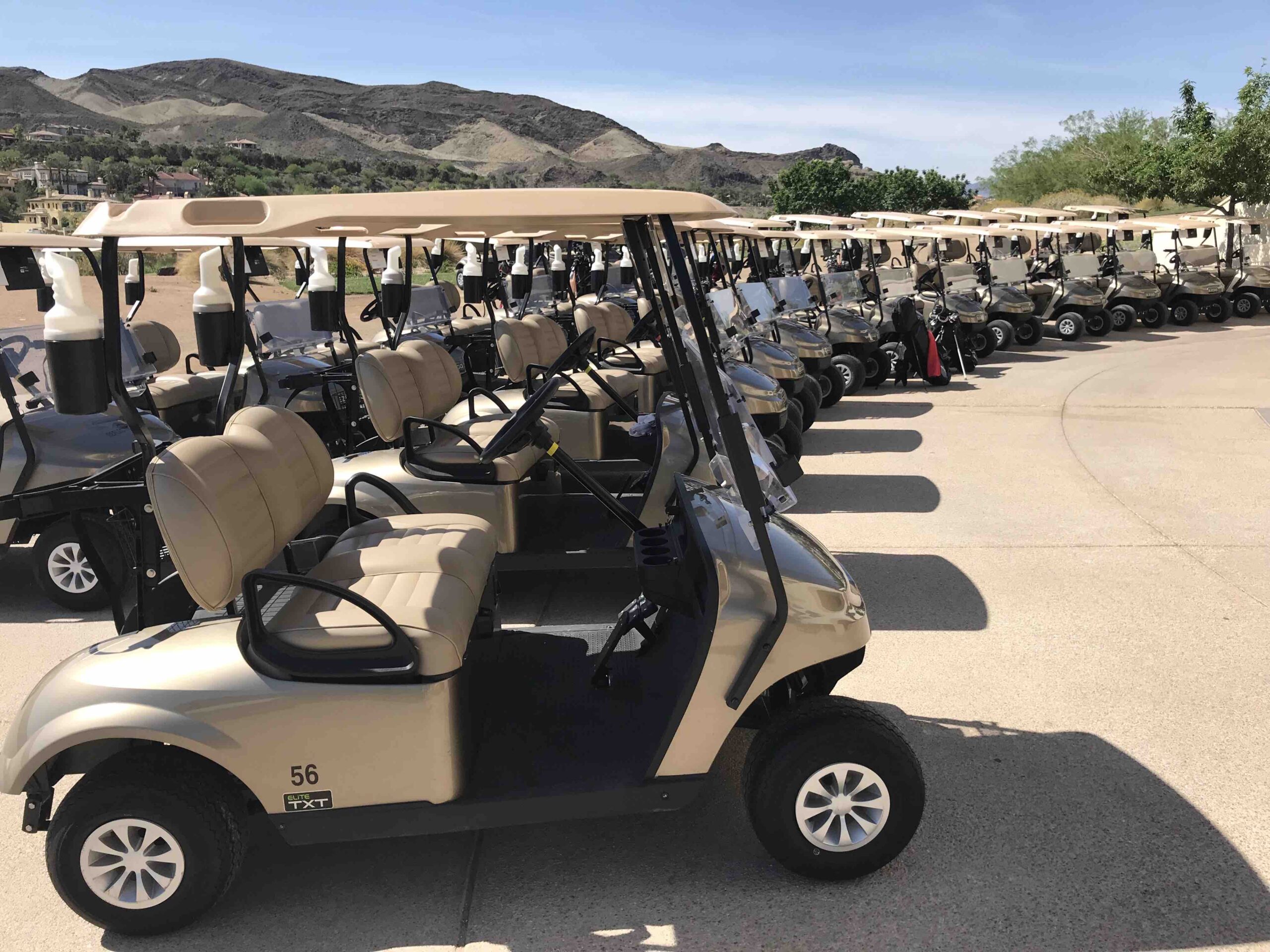 Reflection Bay_New Golf Carts 2019