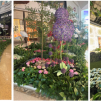 The Shops at Crystals Blooms Into Spring With Stunning Floral Décor
