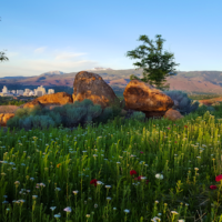 Visit Reno Tahoe Reports Record Q1 Tourism Revenue As Conventions and Events Drive Local Economy